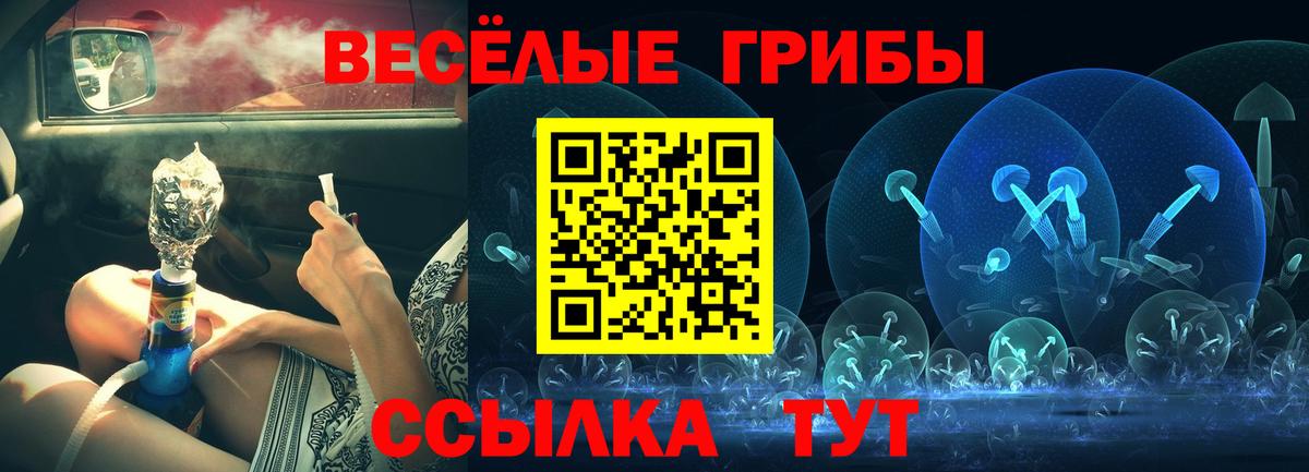 Псилоцибиновые грибы Psilocybe Тобольск