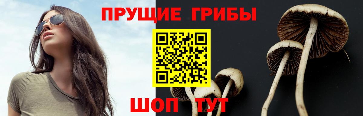 Тобольск  Псилоцибиновые грибы Magic Shrooms  Вход с VPN 